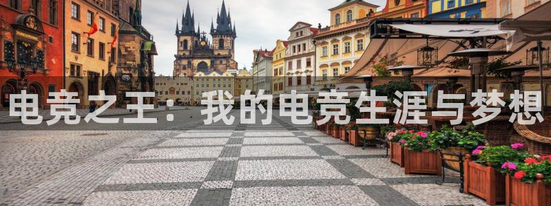 米兰电竞App官方