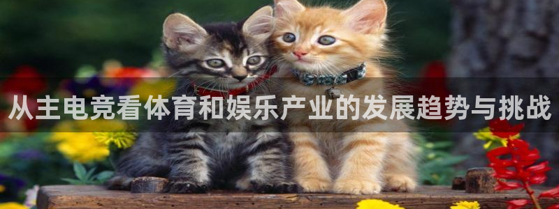 米兰电竞会不会不出款