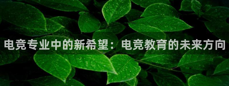 米兰电竞登录入口