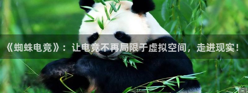 米兰电竞网站入口