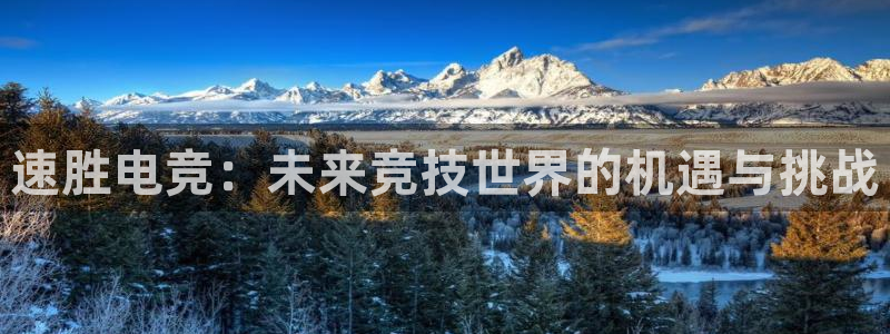 米兰电竞在线官网