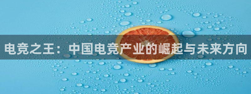 米兰电竞登录入口：电竞之王：中国电竞产业的崛起与未来方向