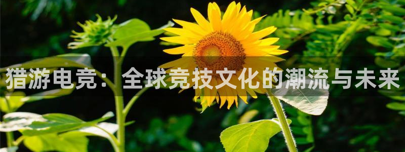 米兰电竞网站：猎游电竞：全球竞技文化的潮流与未来