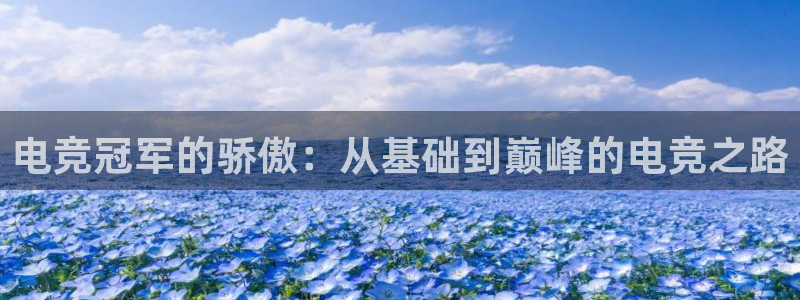 米兰电竞：电竞冠军的骄傲：从基础到巅峰的电竞之路