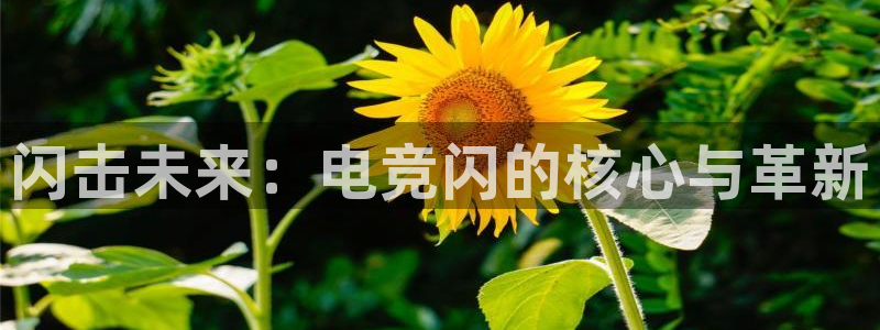 米兰电竞登录入口：闪击未来：电竞闪的核心与革新