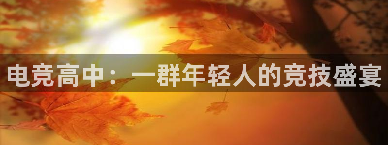 米兰电竞网址：电竞高中：一群年轻人的竞技盛宴