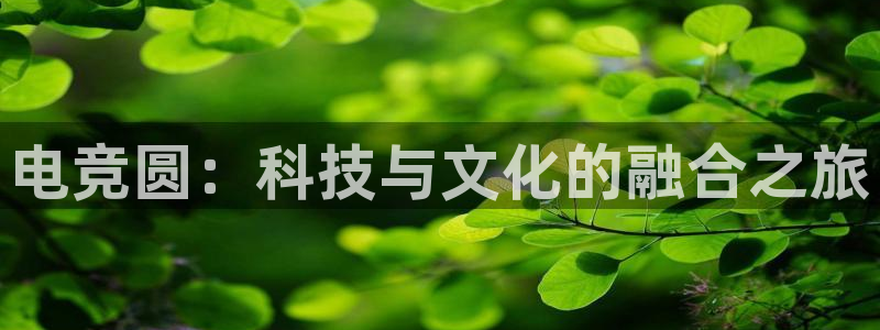 米兰电竞官网下载：电竞圆：科技与文化的融合之旅