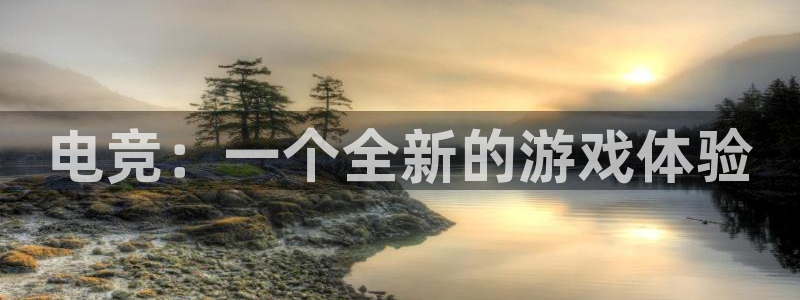 米兰电竞