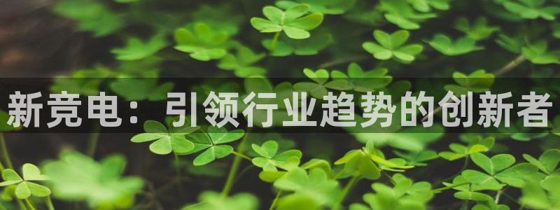 米兰电竞网站入口：新竞电：引领行业趋势的创新者