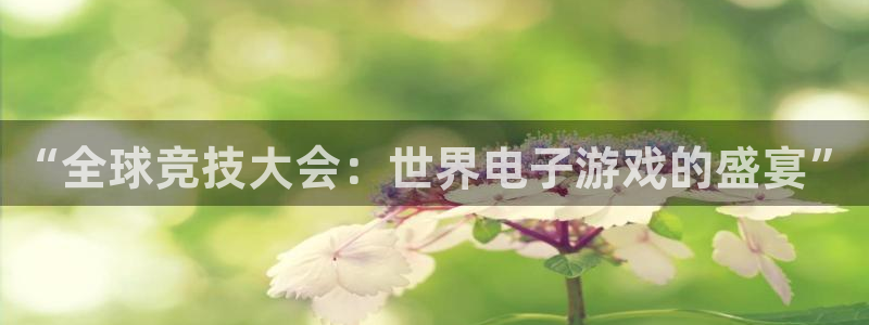 米兰电竞app：“全球竞技大会：世界电子游戏的盛宴”