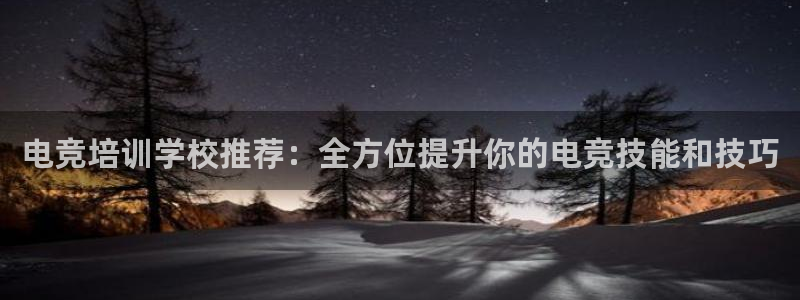 米兰电竞官网：电竞培训学校推荐：全方位提升你的电竞技能和技巧