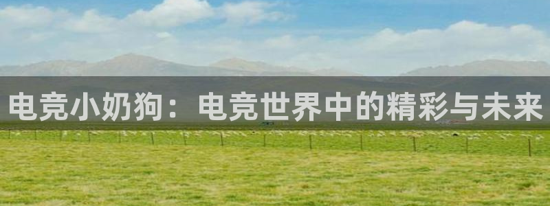 米兰电竞游戏：电竞小奶狗：电竞世界中的精彩与未来